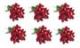 Imagem de Kit 6 Buquês Flor De Natal Vermelho Bico De Papagaio 30 Cm