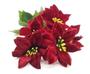 Imagem de Kit 6 Buquês Flor De Natal Vermelho Bico De Papagaio 30 Cm
