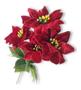 Imagem de Kit 6 Buquês Flor De Natal Vermelho Bico De Papagaio 30 Cm