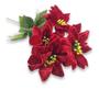 Imagem de Kit 6 Buquês Flor De Natal Vermelho Bico De Papagaio 30 Cm