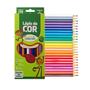 Imagem de Kit 6 caixas de lápis de cor sextavado Leo e Leo com 24 cores