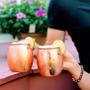 Imagem de Kit 6 Canecas Moscow Mule Cobre - 500 Ml Impermeabilizada