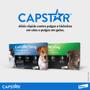 Imagem de Kit 6 Capstar 11,4mg Gatos E Cães De 1,0 A 11,4kg - 1 comp