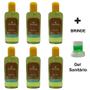 Imagem de Kit 6 Cheirinho Concentrado Desinfetante Limpeza Essência Casa Ambiente 140ml Senalândia - Envio Já