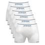 Imagem de Kit 6 Cuecas Zorba Boxer Extreme Point 846