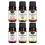 Imagem de Kit 6 Essências Premium 10Ml - Cores Tropicais