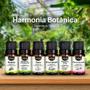 Imagem de Kit 6 Essências Premium 10ml - Harmonia Botânica