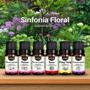 Imagem de Kit 6 Essências Premium 10ml - Sinfonia Floral