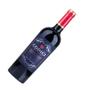 Imagem de Kit 6 Garrafas Vinho Tinto Codici Negroamaro Puglia 750ml