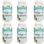 Imagem de Kit 6 Ginkgo Biloba com Ginseng - Life Natural - 60 Cápsulas
