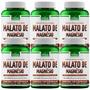 Imagem de Kit 6 Malato de Magnésio Vitalab 500mg 120 Cápsulas