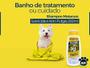 Imagem de Kit 6 Shampoo Cachorro Sarnicida AntiPulgas MataCura 200ml