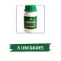 Imagem de Kit 6 Silotrato Inoculante P/ Silagem Liofilizado 100g Basso