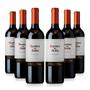 Imagem de Kit 6 Unidades Vinho Casillero Del Diablo Carmenere 750Ml