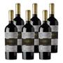 Imagem de Kit 6 Vinhos Barrica Andina Carménère Tinto Chile 750ml