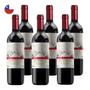 Imagem de Kit 6 Vinhos Bodega Vieja Cabernet Sauvignon Tinto Chile 750ml