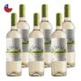 Imagem de Kit 6 Vinhos Bodega Vieja Sauvignon Blanc Branco Chile 750ml