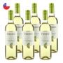 Imagem de Kit 6 Vinhos Chilano Sauvignon Blanc Branco Chile 750ml