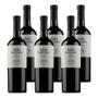 Imagem de Kit 6 Vinhos Don Pascual Reserva Tannat Tinto Uruguai 750ml