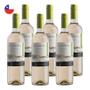 Imagem de Kit 6 Vinhos Ventisquero Clásico Sauvignon Blanc Branco Chile 750ml
