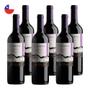 Imagem de Kit 6 Vinhos Ventisquero Clásico Syrah Tinto Chile 750ml