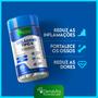 Imagem de Kit 6x Frascos Colágeno Tipo 2 + Msm + Magnésio, Collagen Uc2 - Denavita