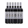 Imagem de Kit 6x Vinho Tinto Italiano NC Toscana IGT Argiano 2017