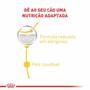 Imagem de Kit 8 Un. Ração Úmida Royal Canin Dermacomfort Cães Adultos