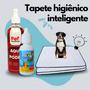 Imagem de Kit Adestramento 3 Tapetes Higiênicos Pet 70x50 + Educador XIXI SIM 20ml + AQUI NÃO PODE Pet 500ml