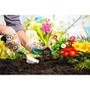 Imagem de Kit Adubos NPK Forth - Flores, Rosa do Deserto e Frutas
