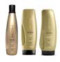 Imagem de Kit Aneethun Blond System 3 Produtos