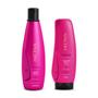 Imagem de Kit Aneethun Color System Shampoo 300ml + Finalizador 250g
