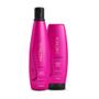 Imagem de Kit Aneethun Color System  Shampoo E Mascara