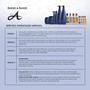 Imagem de Kit Aneethun Creme de Silicone linha completa 100ml 4 itens