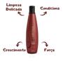 Imagem de Kit Aneethun Force Shampoo, Máscara, Finalizador Com 2 Dose 