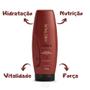Imagem de Kit Aneethun Force System Shampoo, Máscara E Dose