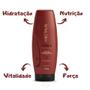 Imagem de Kit Aneethun Force System Shampoo, Máscara e Dose