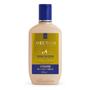 Imagem de Kit Aneethun Linha A Creme de Silicone 250ml e Spray 150ml