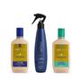 Imagem de Kit Aneethun Linha A Creme250ml+Spray150ml+Creme Cachos250ml