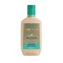 Imagem de Kit Aneethun Linha A Shampoo 300ml + Creme de Silicone Cachos 250ml