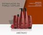 Imagem de Kit Aneethun Shampoo 300ml + Máscara 250ml Force System