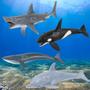Imagem de Kit Animais Marinhos Aquaticos Borracha Tubarão Golfinho Baleia Orca