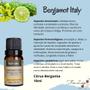 Imagem de Kit Aromaterapia Aromatizador Via Aroma e 3 Óleos Essenciais Laranja - Bergamota - Alecrim