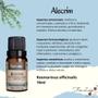 Imagem de Kit Aromaterapia Aromatizador Via Aroma e 3 Óleos Essenciais Laranja - Bergamota - Alecrim