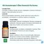 Imagem de Kit Aromaterapia Via Aroma Difusor Elétrico e 5 Óleo Essencial Com Porta Óleos