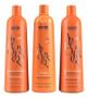 Imagem de Kit Ativo Redutor Argan e Ojon 3x1 Richee 3000ml
