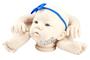 Imagem de Kit bebê reborn molde Abigail com corpinho de tecido