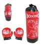 Imagem de Kit Boxe Boxing Com Saco De Pancadas + Par De Luva