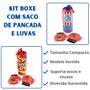 Imagem de Kit Boxe Infantil Com Saco De Pacanda E Luvas Esportes Lutas