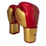 Imagem de Kit Boxe Luva Bandagem Protetor Bucal Caneleira G - Iron Arm